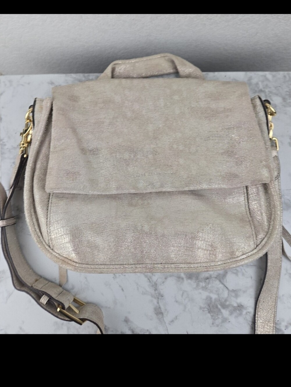 Aimee Kestenberg Metallic Bag View 4